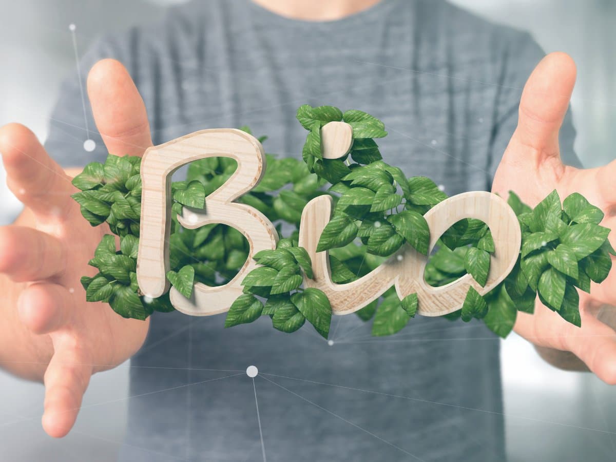 Dřevěný nápis Bio obrostlý listy v dlaních – označení, které u kosmetiky není nijak chráněné