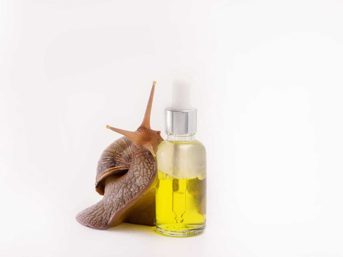 Šnečí sliz v kosmetice: co snail mucin umí a co se přehání